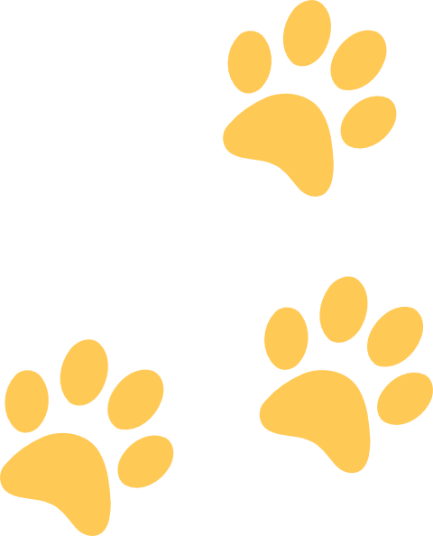480x594 Paw Print Trail Clipart