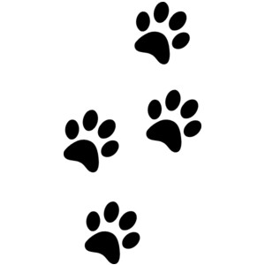 300x300 Clipart Paws