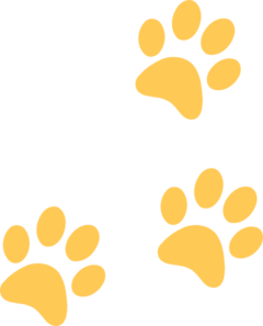 240x297 Gold Paw Clip Art