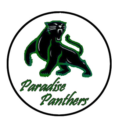 400x400 Carolina Panthers Clipart