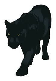 186x270 Blank Panthers Cowboys Panthers, Football Decor