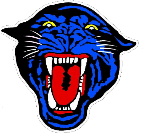 468x452 Mc Free Panthers