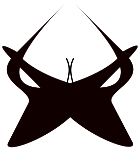 285x300 Underwear Clip Art Download