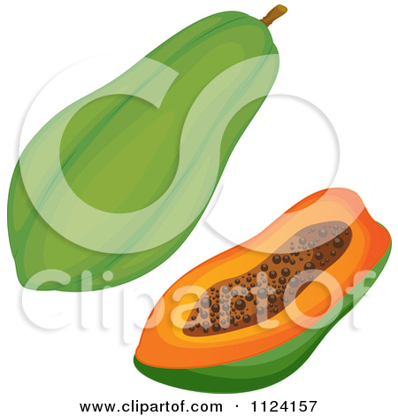 450x470 Green Papaya Clipart