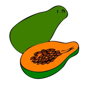 297x276 Papaya 4 Clip Art