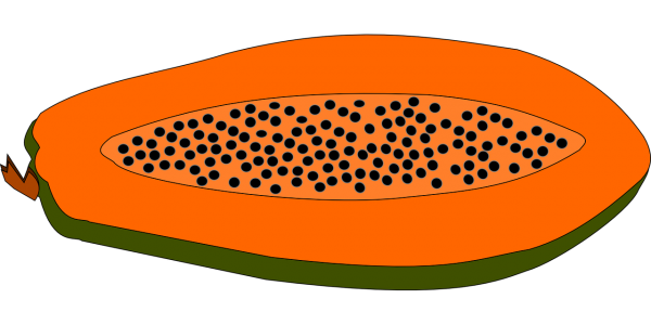 600x300 Papaya Clipart 3 Nice Clip Art