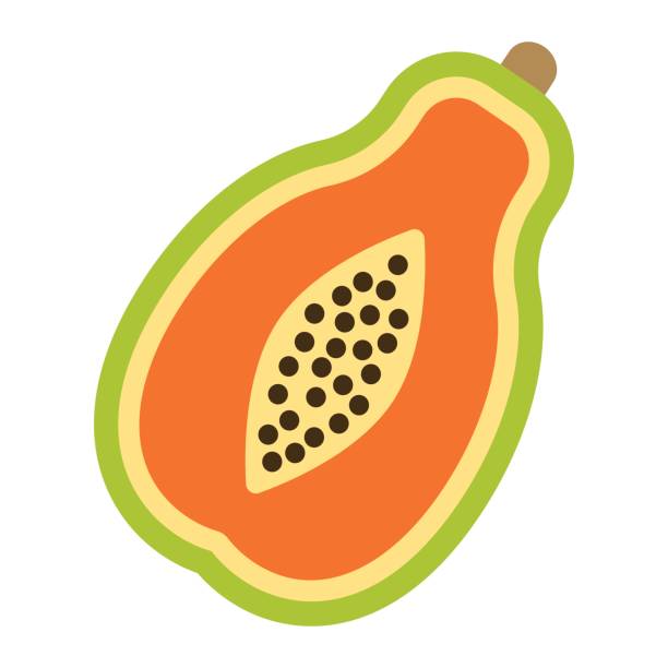 612x612 Papaya Clipart Half Watermelon