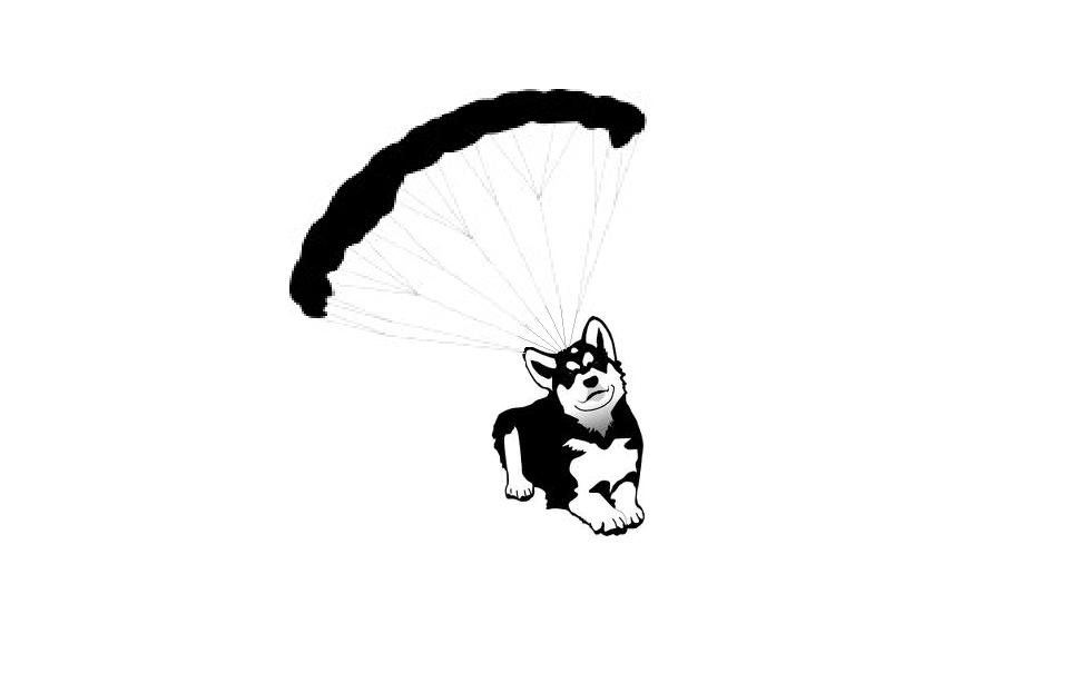 962x623 Parachuting Dog Free Images
