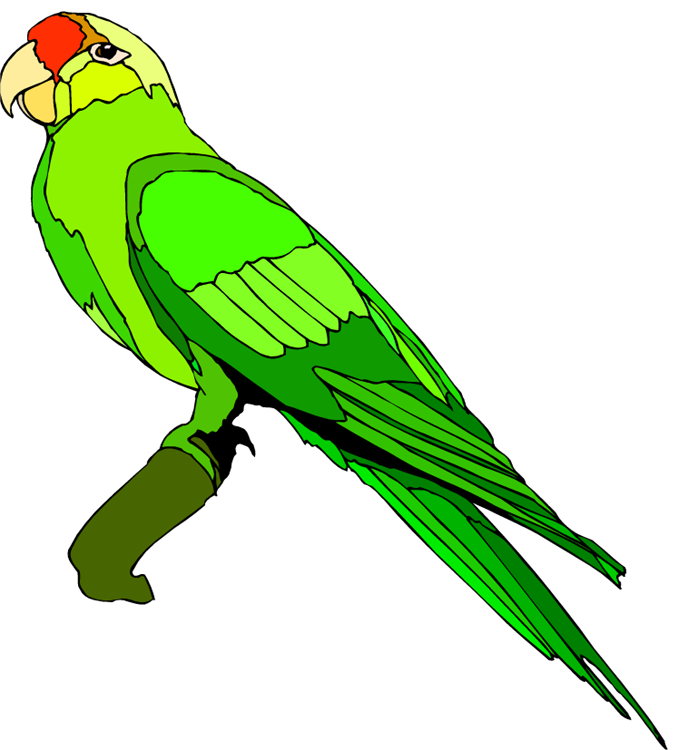 679x750 Parrot And Macaw Clipart