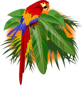 279x286 74 Best Parrots Images Lawn, Birds And Canisters