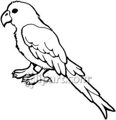 236x244 Drawn Parrot Black And White