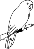 119x170 Parrot Clipart Black And White