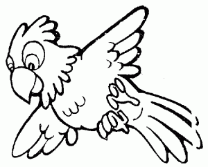 300x242 Parrot Clipart Black And White