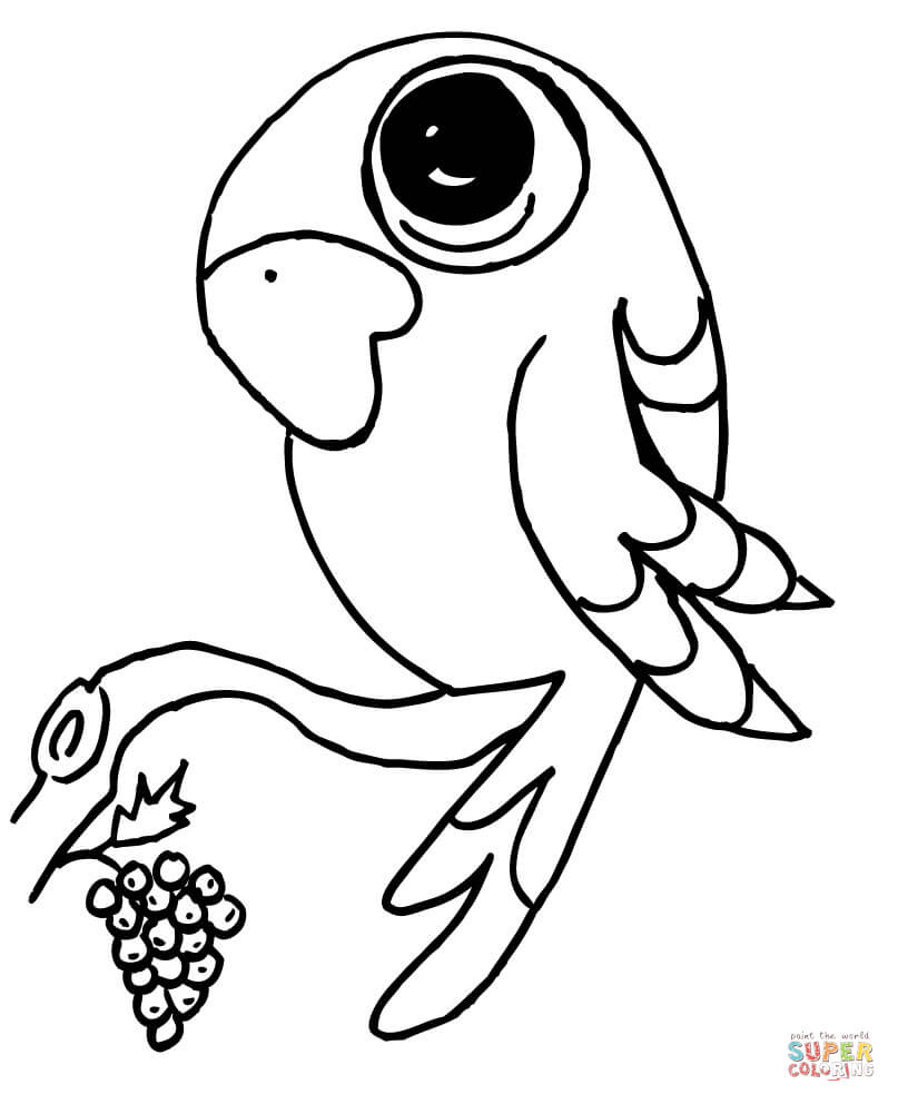 807x992 Parrots Coloring Pages Free Coloring Pages