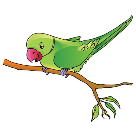 450x450 Indian Clipart Parrot