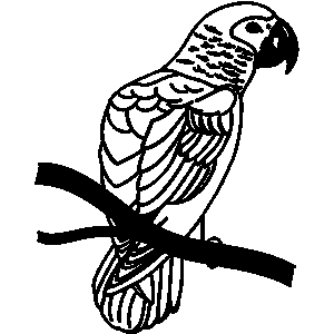 300x300 Parrot Clipart Jungle Bird