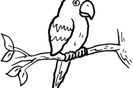 450x300 Nest Clipart Black And White Parrot Clipart Black And Whitefree