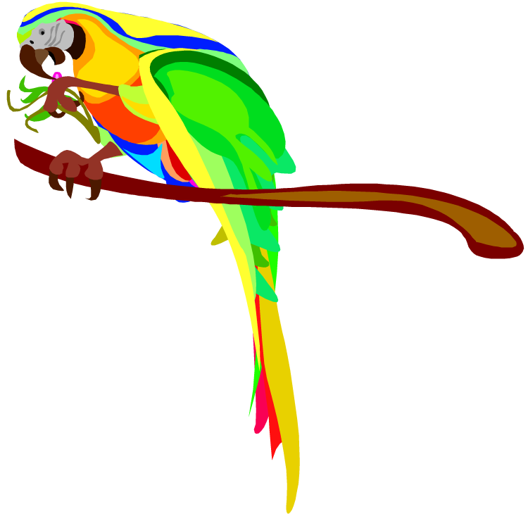 750x740 Parrot Clipart Macaw