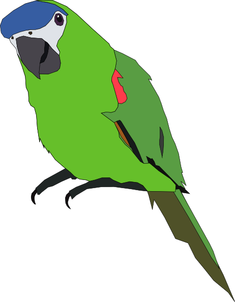 462x594 Totetude Parrot Green Clip Art