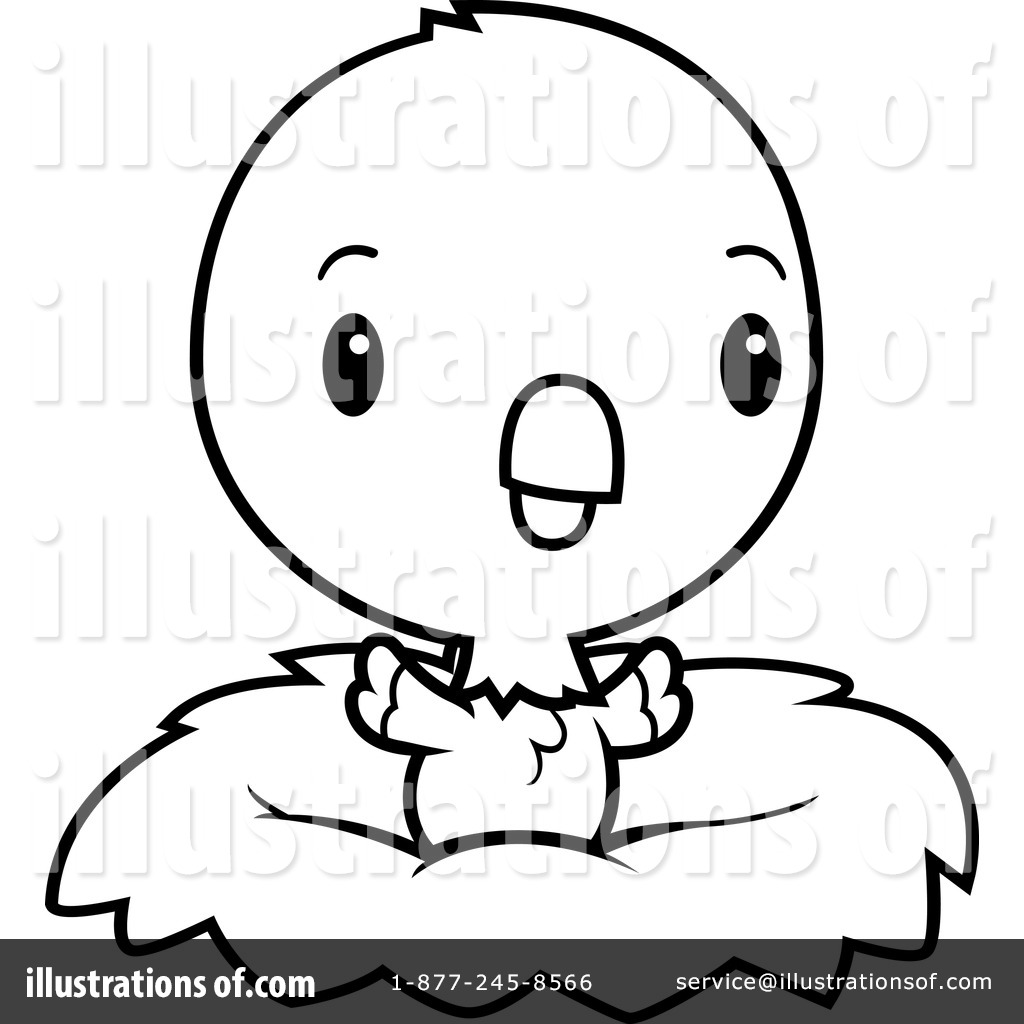 1024x1024 Parrot Clipart