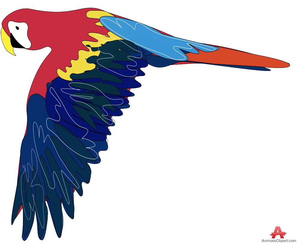 999x819 Parrot Fly Clipart, Explore Pictures