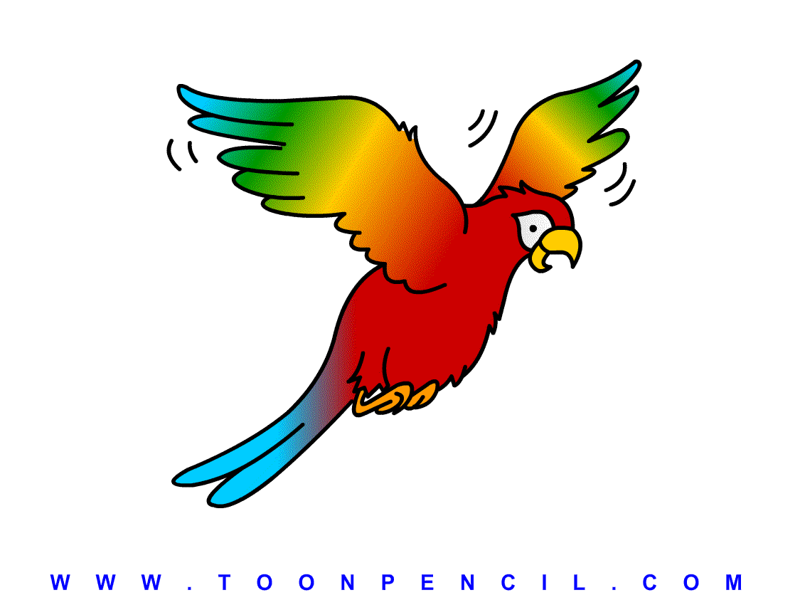 1125x843 Flying Parrot Drawing 191 How To Draw Parrot Fly