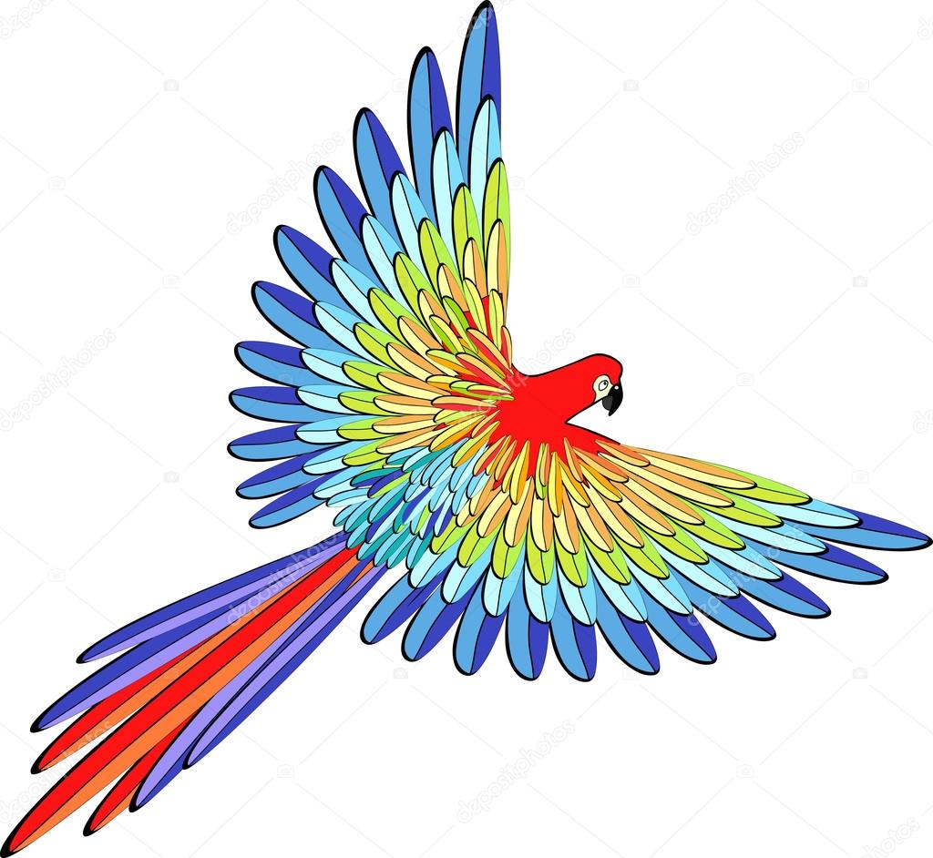 1024x942 Caribbean Red The Parrot Flying. Vector Illustration Stock