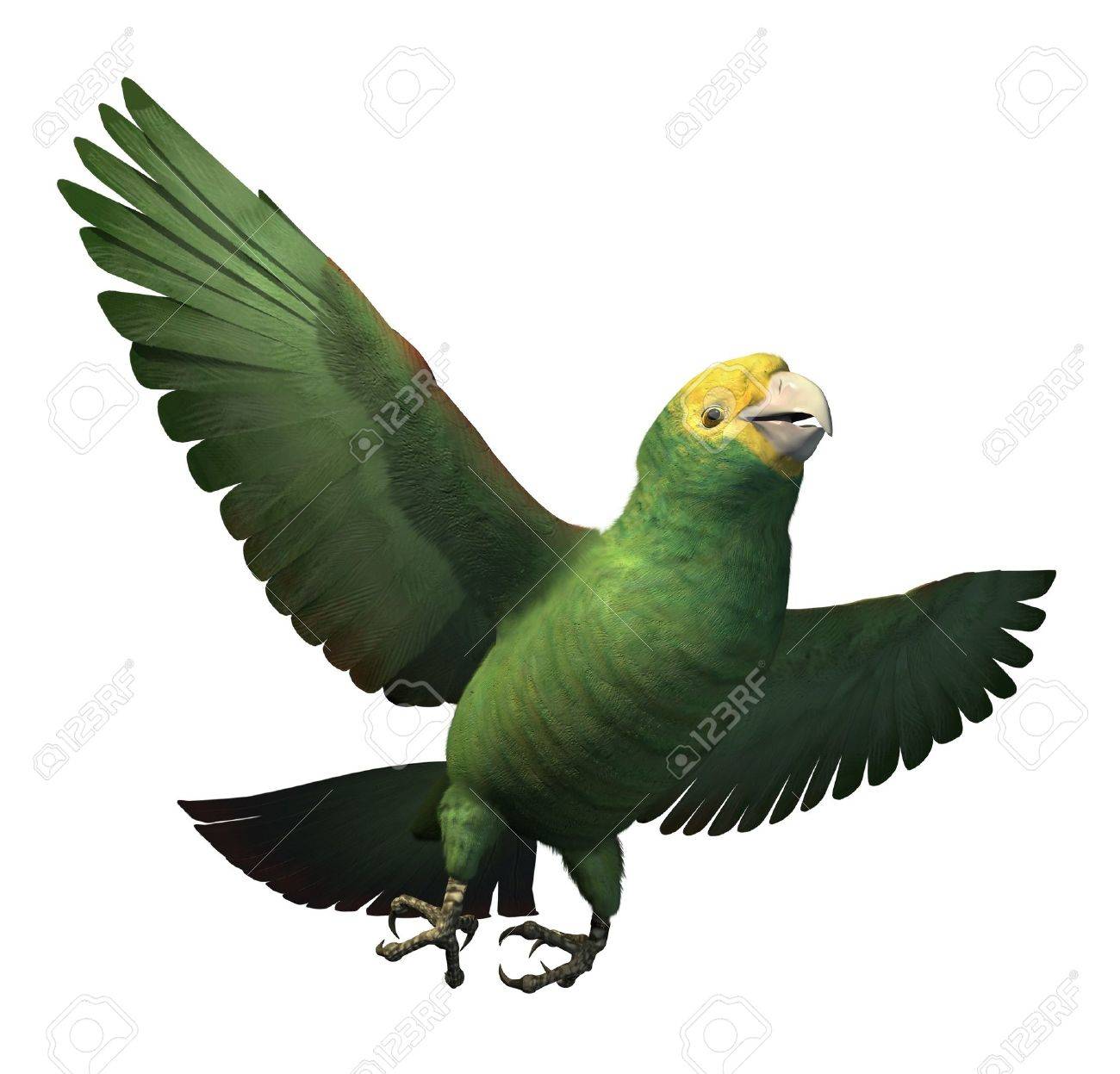 1300x1247 Parrot Flying Stock Photos. Royalty Free Parrot Flying Images