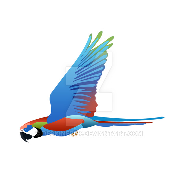 600x600 Flying Parrot Vector Illustration By Designerpk