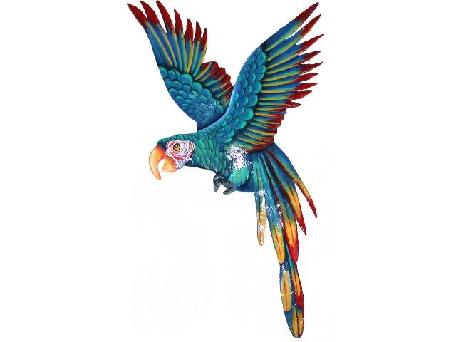 640x480 Parrot Flying Mde082