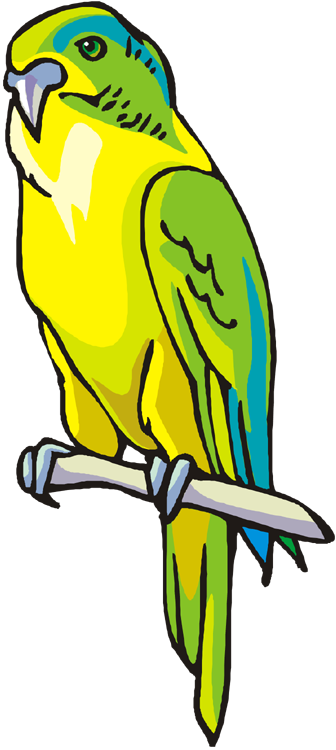 336x750 Free Parrot And Macaw Clipart