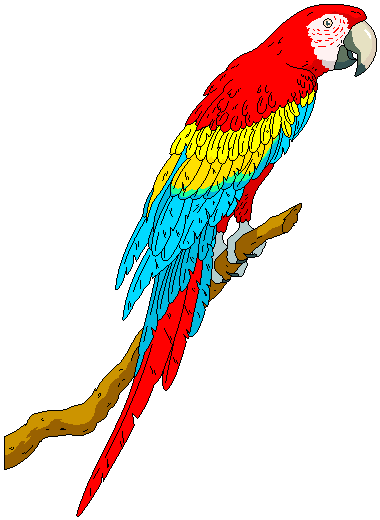 380x520 Macaw Clipart Parrot
