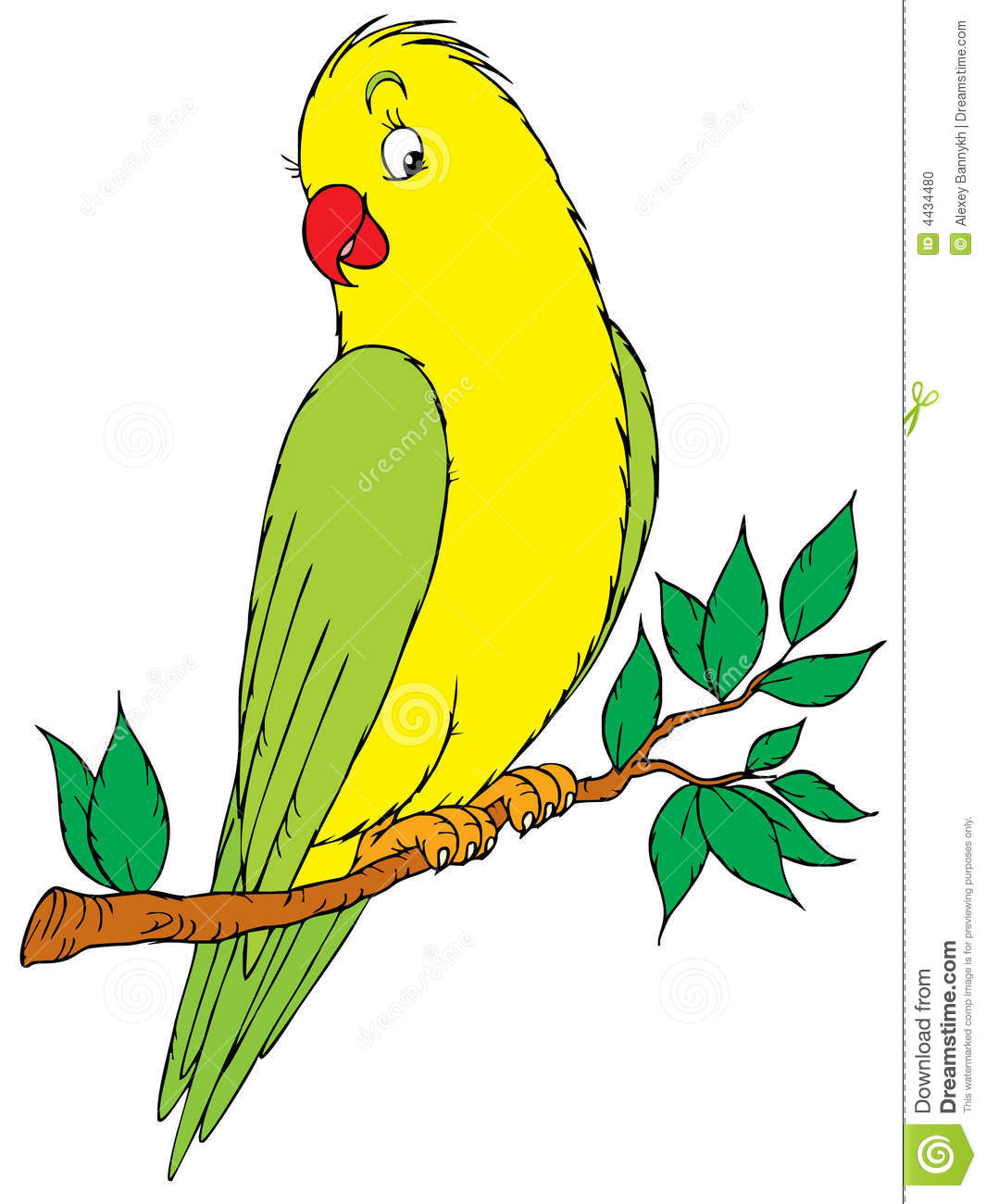 1065x1300 Parrot Black And White Clipart