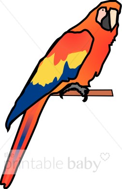 252x388 Parrot Clipart Bird Clipart