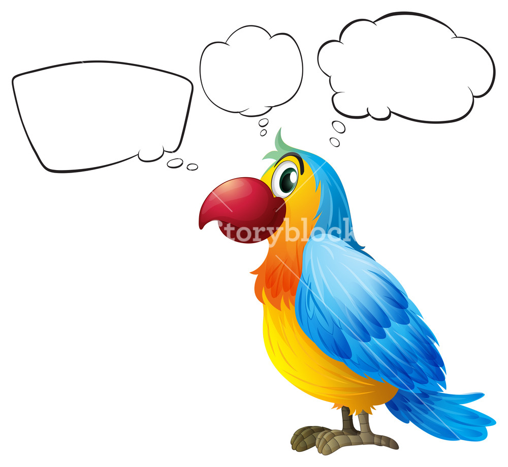 1000x920 Illustration Of A Colorful Parrot Thinking On A White Background