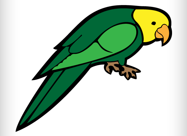 600x435 Parakeet Clipart Parrot Bird