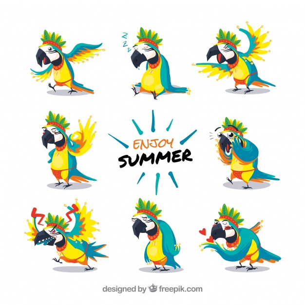 626x626 Parrot Vectors, Photos And Psd Files Free Download