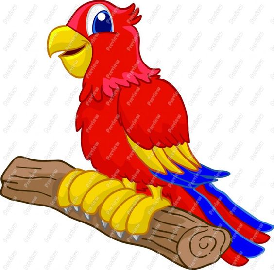 564x557 Parrot Clipart Parakeet