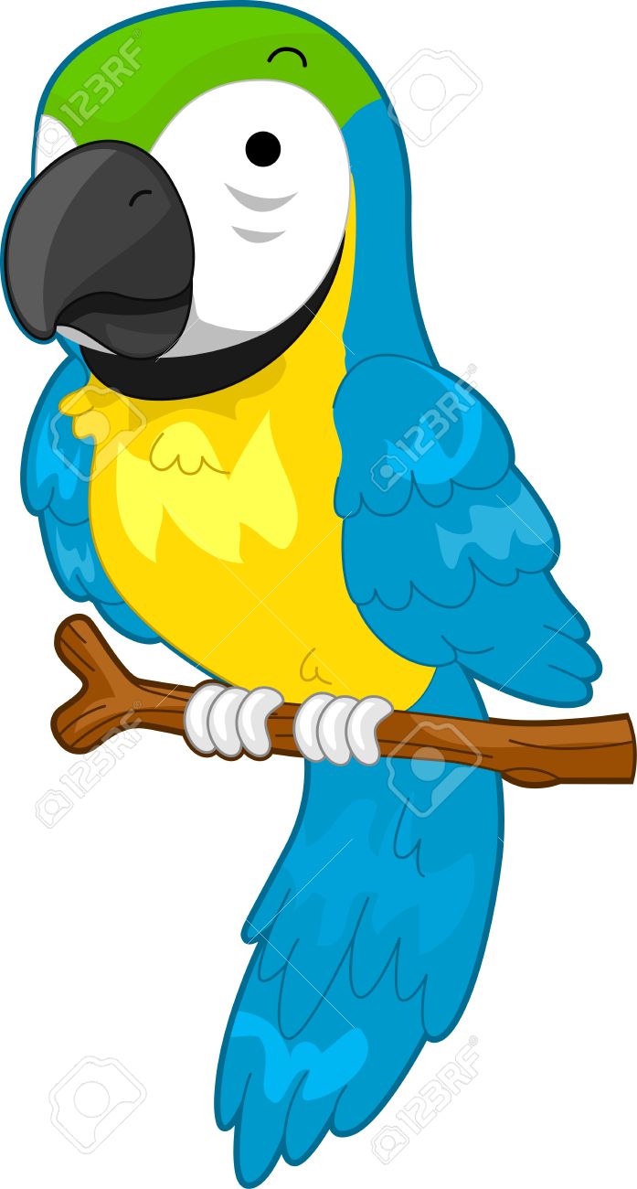 697x1300 Parrot Clipart Pet Bird