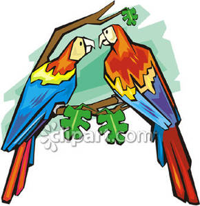 290x300 Parrots On A Branch