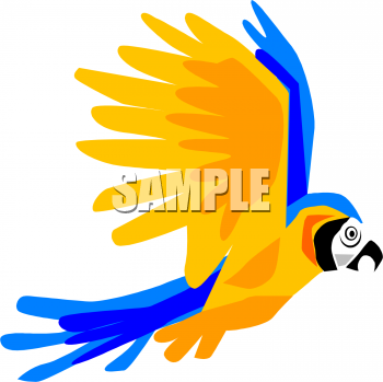 350x349 Royalty Free Parrot Clip Art, Bird Clipart