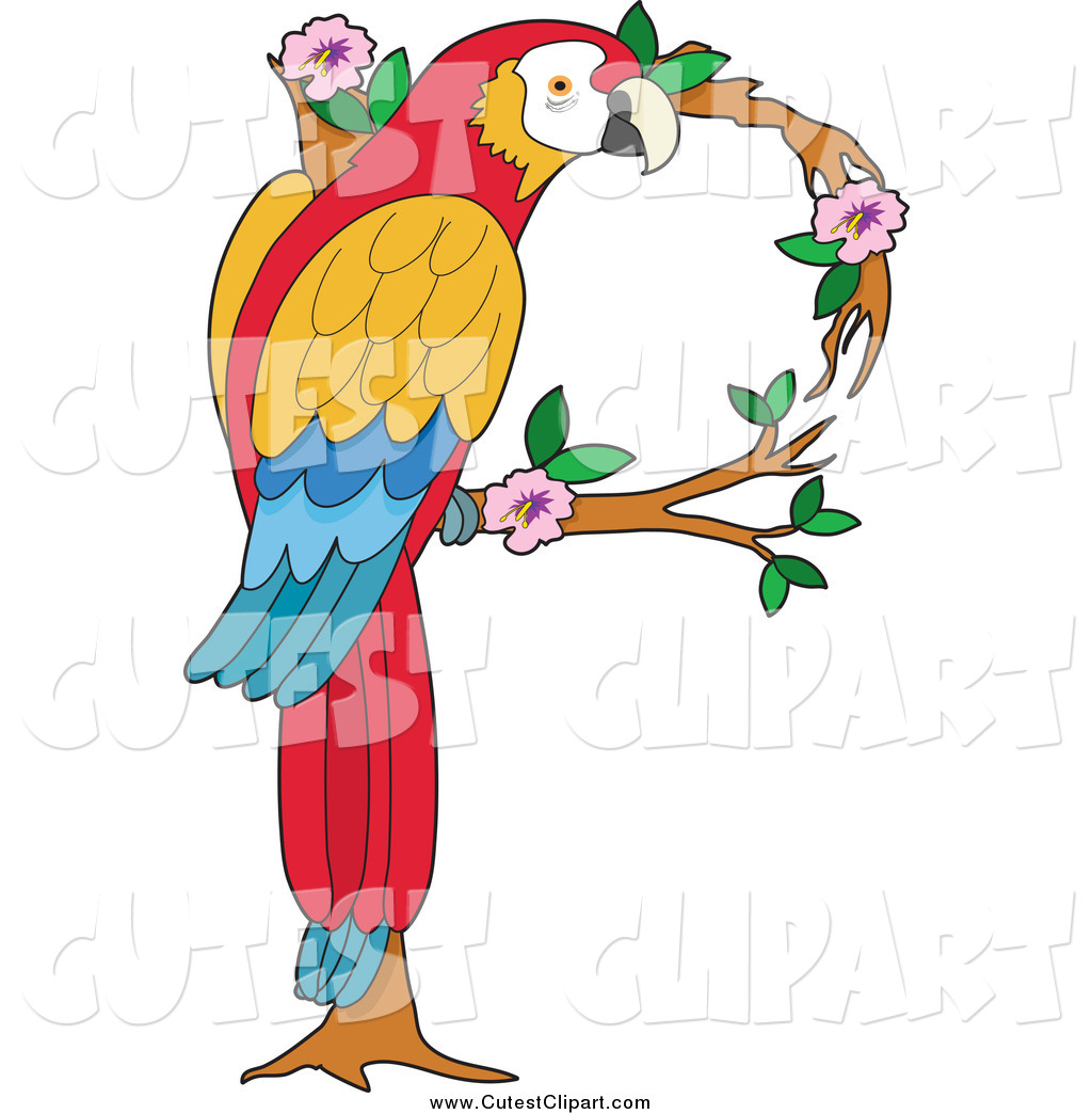 1024x1044 Vector Clip Art Of A Macaw Parrot Forming A Letter P By Maria Bell
