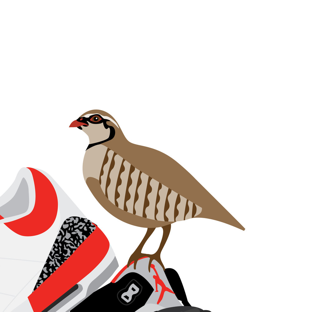 1000x1000 Partridge In Some Jordan Threes Kicksmas Cards
