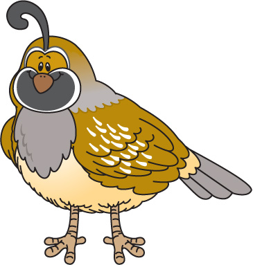 365x383 Quail Clipart
