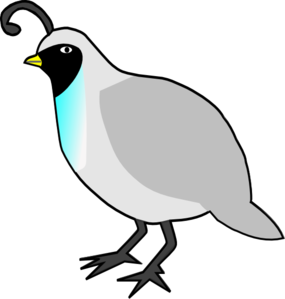 285x299 Quail Clipart