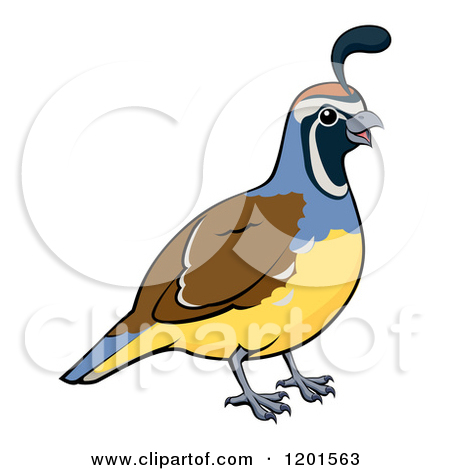 450x470 Top 94 Partridge Clipart