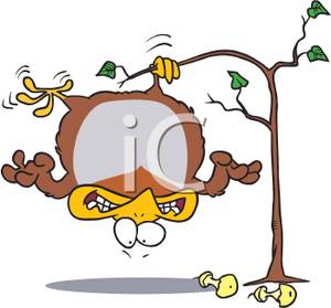 300x279 Of A Partridge Hanging Upside Down On A Pear Tree