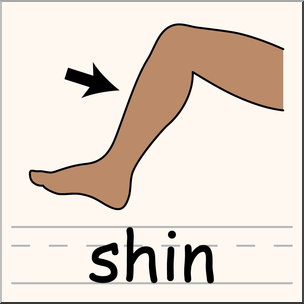 304x304 Clip Art Parts Of The Body Shin Color I Abcteach