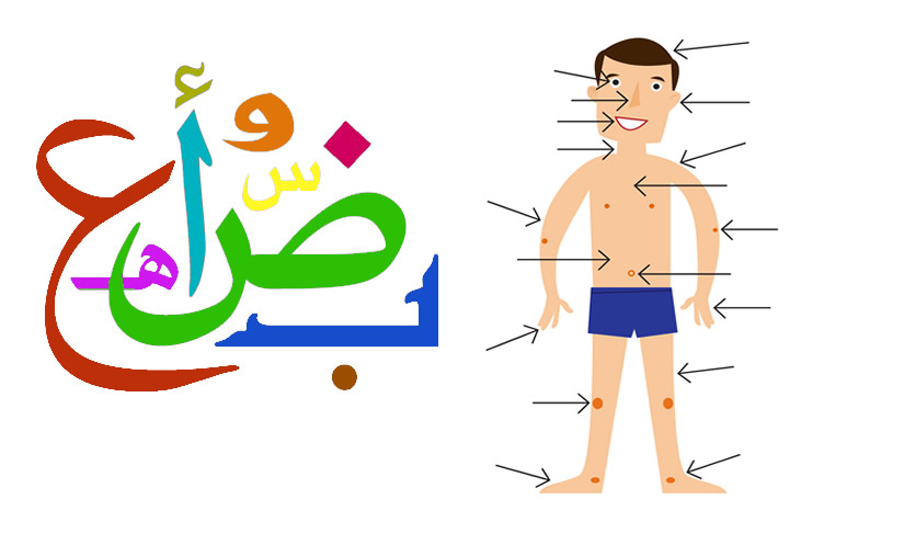 825x497 Learn The Parts Of The Body In Arabic