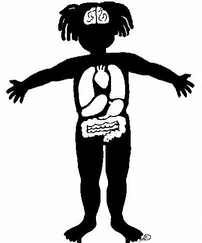 402x484 Top 78 Body Clip Art